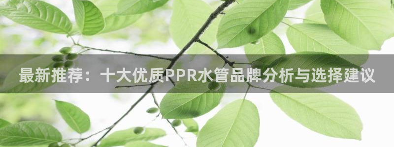 北仑富邦娱乐