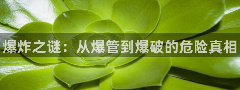 富邦娱乐场