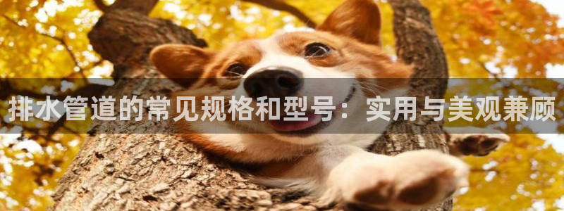 临平富邦娱乐总监山鸡