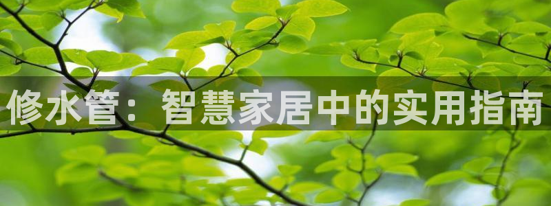 富邦娱乐注册 全礴网