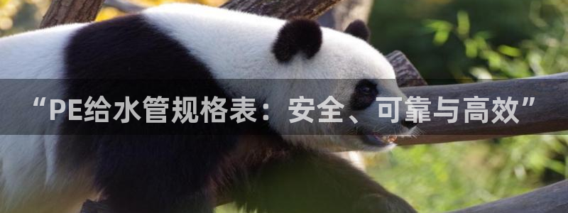 富邦娱乐线路检测