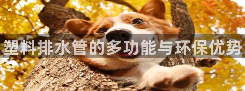 富邦娱乐平台