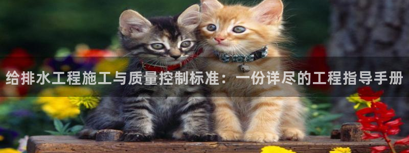富邦娱乐 皇恩靠谱
