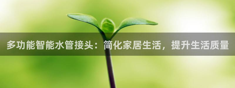 富邦游娱乐团购