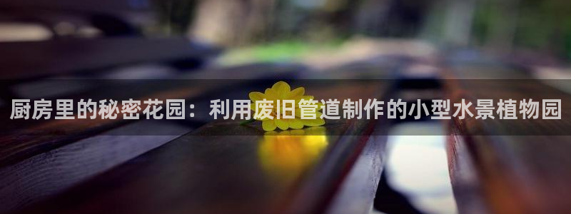富邦娱乐线路