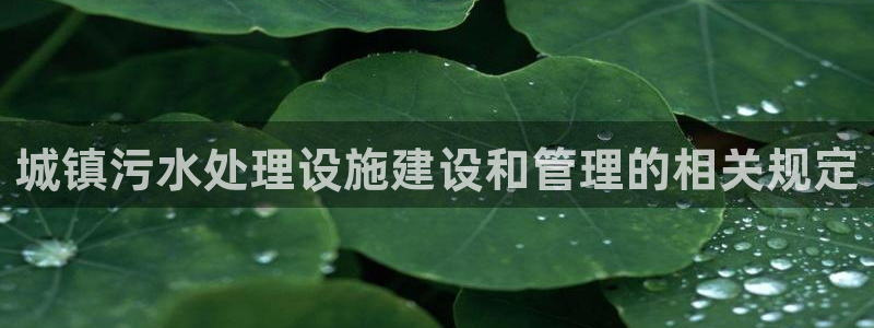 富邦老品牌娱乐城
