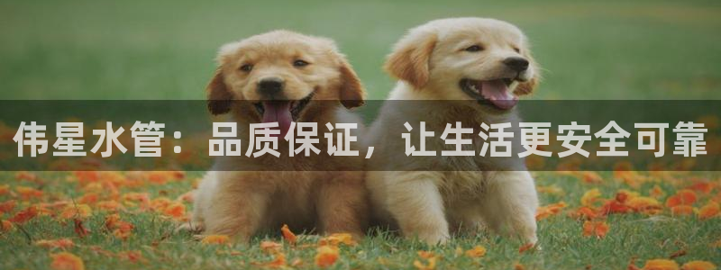 壹家娱乐北仑区富邦