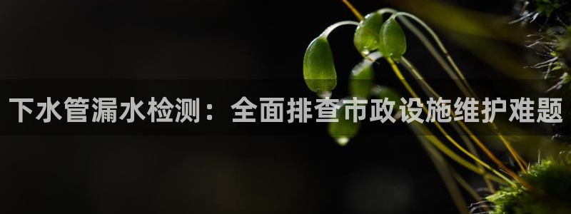富邦娱乐 果敢锦海