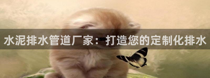 富邦电子娱乐