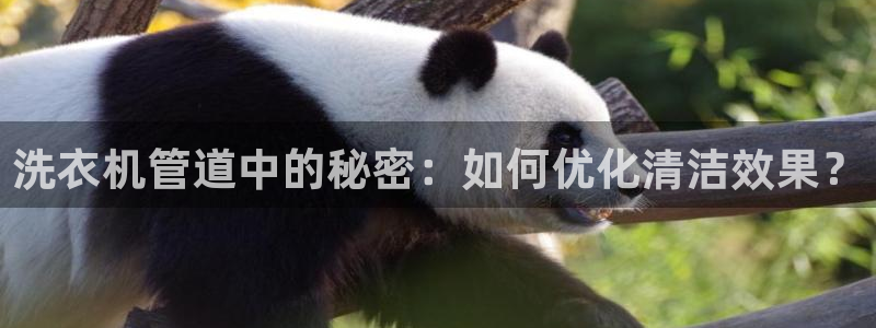 富邦娱乐登入