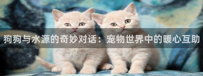 富邦娱乐活动