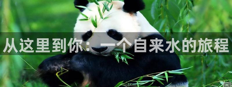 富邦娱乐澳门娱乐网址