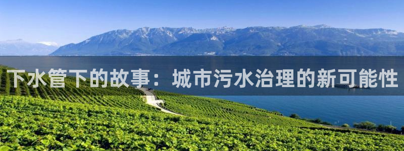 富邦天娱乐