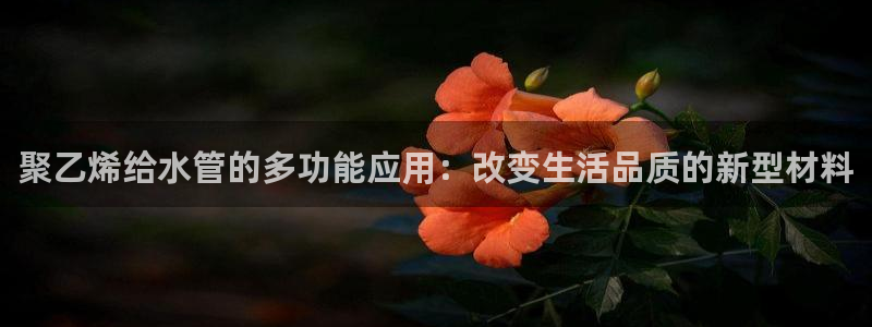 天象娱乐和宁波富邦