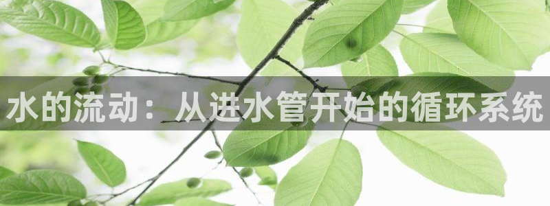 富邦电子娱乐网址送20