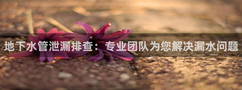 富邦 娱乐 平台