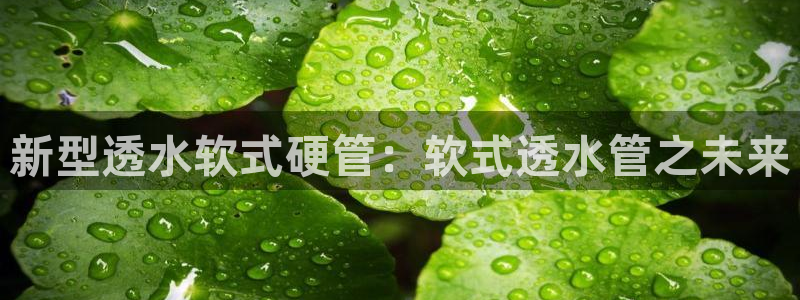 富邦娱乐集团