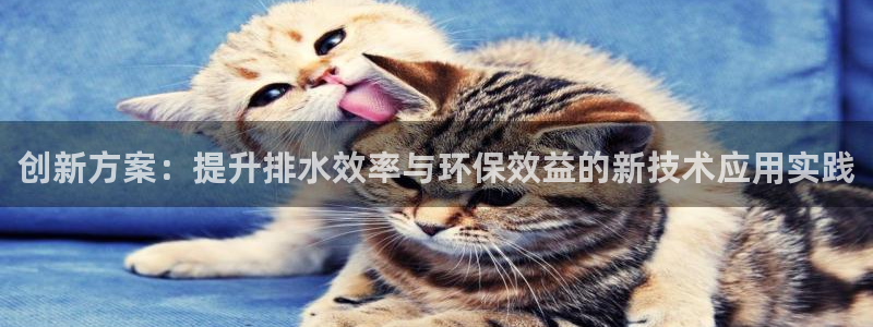 富邦网上娱乐