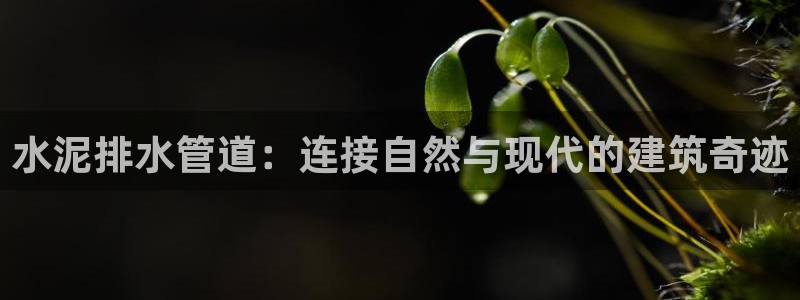 富邦娱乐登入上银狐网