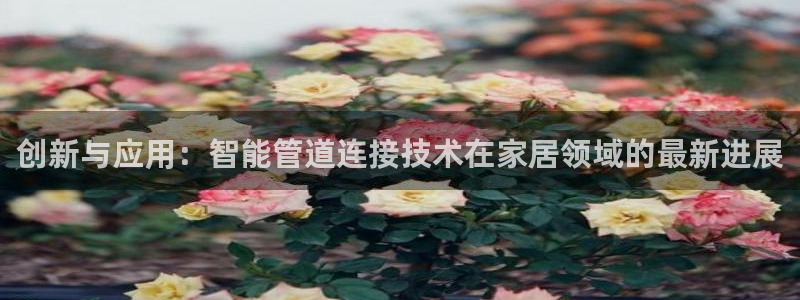 临平富邦娱乐会所