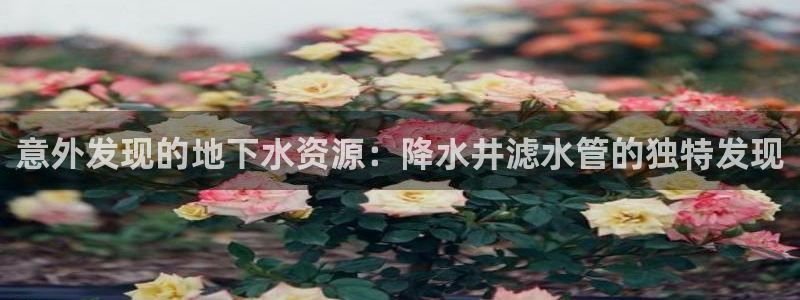 富邦翡翠娱乐怎么样知乎