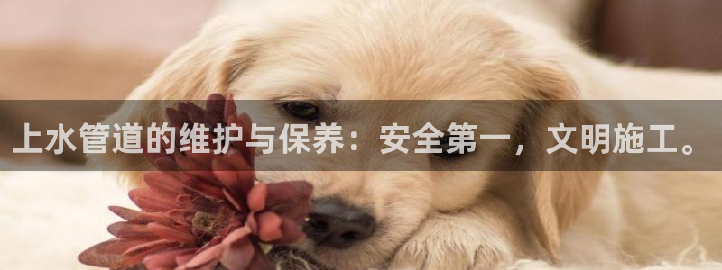 富邦娱乐2024最新消息