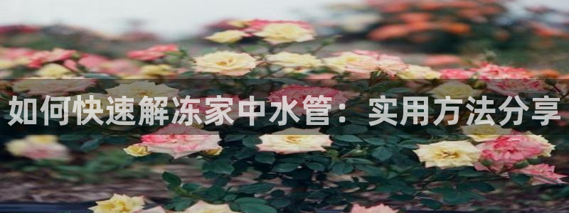 宁波富邦广场娱乐会所