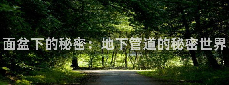 富邦娱乐 果敢锦海