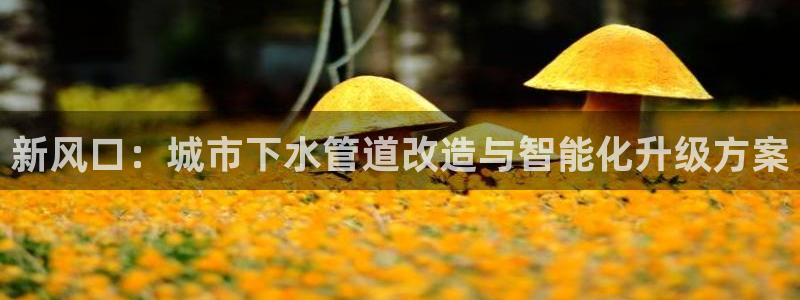 富邦娱乐官网上全狐网