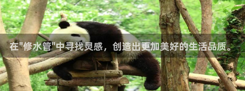 壹家娱乐北仑区富邦