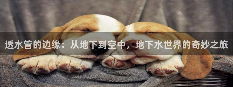 富邦娱乐有限公司怎么样