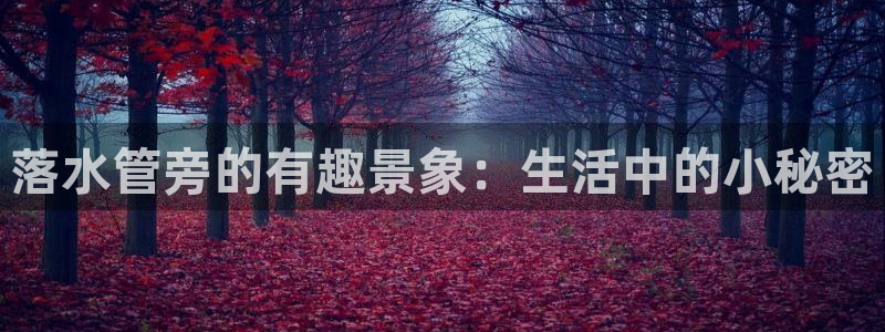 富邦翡翠娱乐会所电话