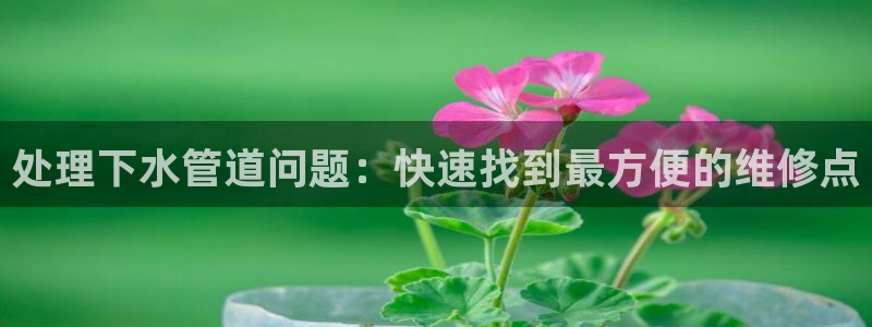 富邦娱乐彩票最新地址