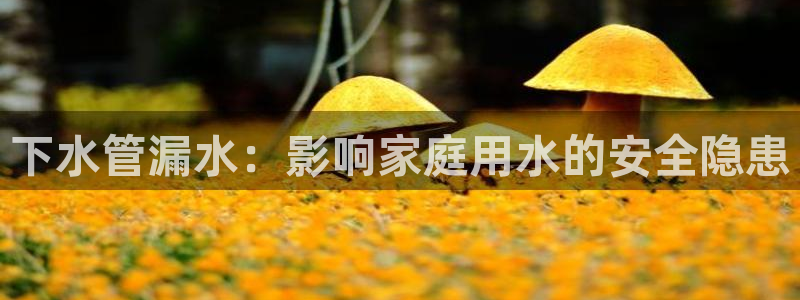 临平富邦丽佳娱乐会所