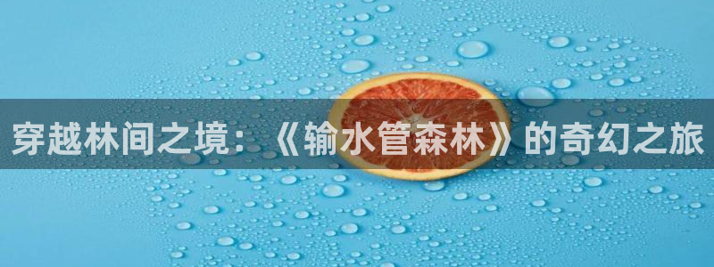 富邦娱乐平台-皇恩靠谱