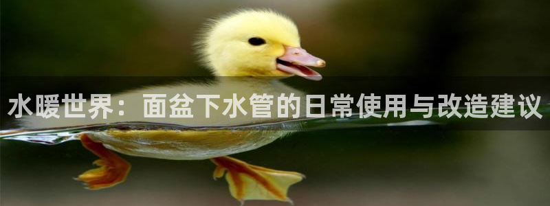 富邦游娱乐团购