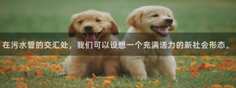 富邦酒店有娱乐场所