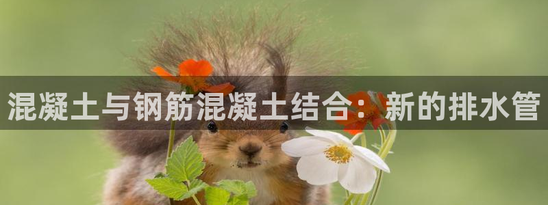 富邦娱乐网页版登录入口