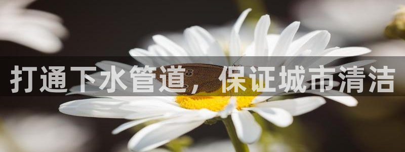 富邦娱乐网站多少
