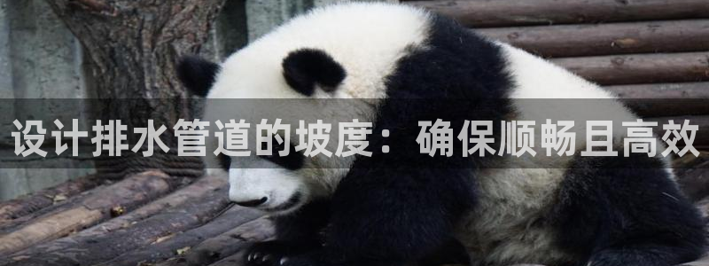 富邦娱乐平台地址