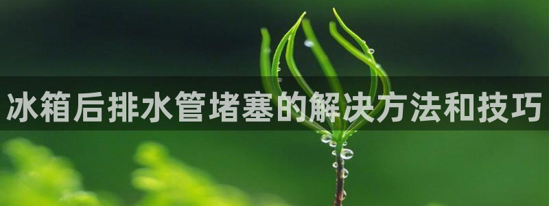 富邦娱乐有限公司怎么样