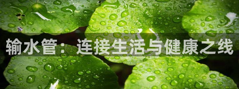 富邦娱乐有限公司怎么样