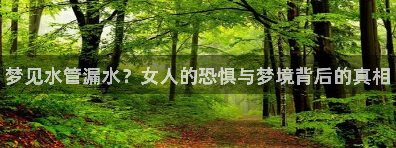 富邦娱乐登录探索无限空间