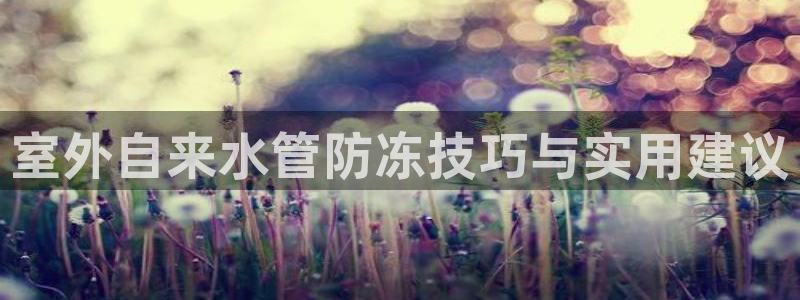 富邦娱乐网址是多少