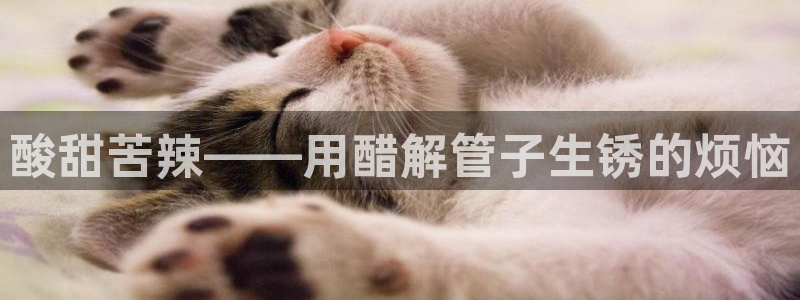 富邦娱乐2024最新消息